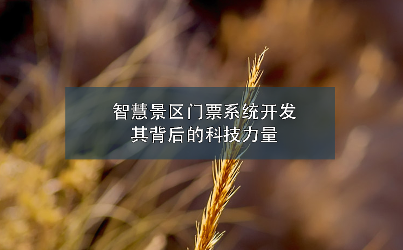 智慧景區(qū)門票系統(tǒng)開發(fā),其背后的科技力量
