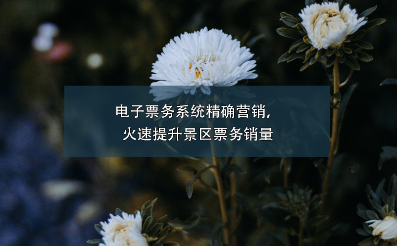 電子票務系統(tǒng)精確營銷，火速提升景區(qū)票務銷量