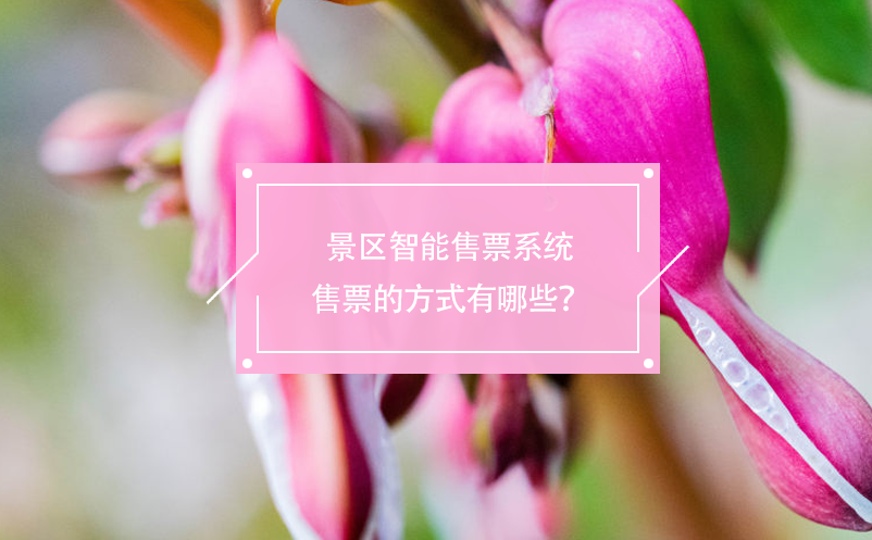 景區(qū)智能售票系統(tǒng)售票的方式有哪些？