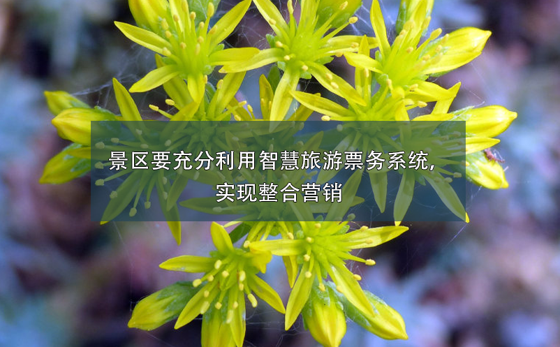 景區(qū)要充分利用智慧旅游票務(wù)系統(tǒng)，實(shí)現(xiàn)整合營(yíng)銷