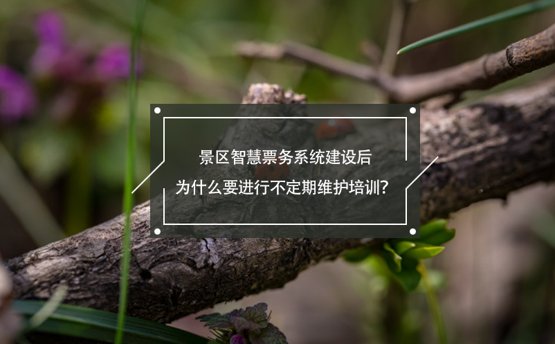 景區(qū)智慧票務(wù)系統(tǒng)建設(shè)后為什么要進(jìn)行不定期維護(hù)培訓(xùn)？