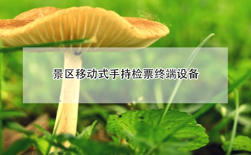 景區(qū)移動式手持檢票終端設備