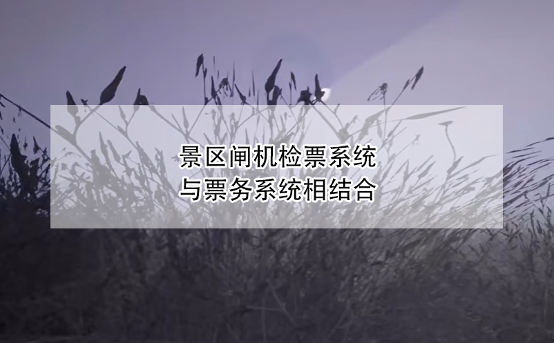 景區(qū)票務(wù)系統(tǒng)技術(shù)支持與售后服務(wù)