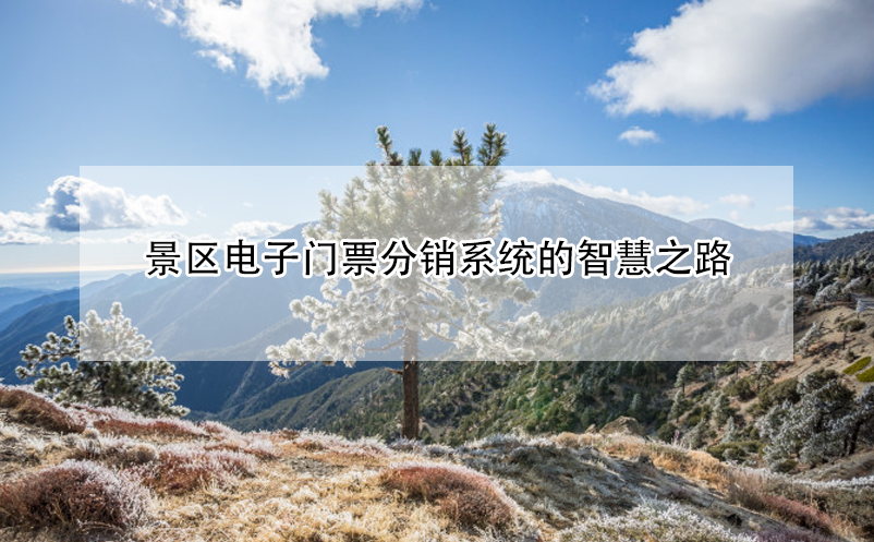 景區(qū)電子門票分銷系統(tǒng)的智慧之路