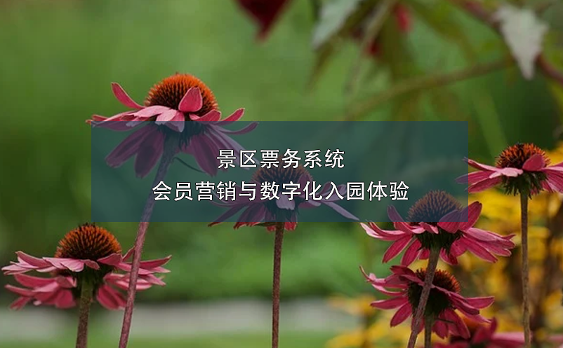 景區(qū)票務(wù)系統(tǒng)會(huì)員營銷與數(shù)字化入園體驗(yàn)