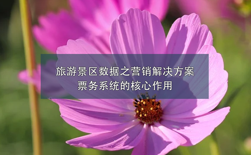 旅游景區(qū)數(shù)據(jù)之營(yíng)銷解決方案：票務(wù)系統(tǒng)的核心作用