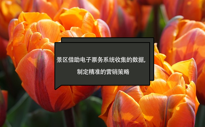 景區(qū)借助電子票務(wù)系統(tǒng)收集的數(shù)據(jù)，制定精準(zhǔn)的營銷策略