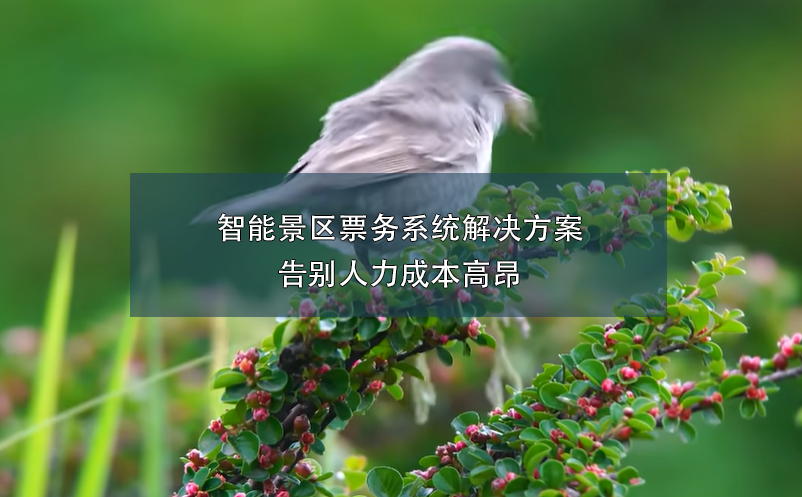 端午小長假，智能票務(wù)系統(tǒng)如何在確保游客體驗(yàn)和提升景區(qū)的管理？