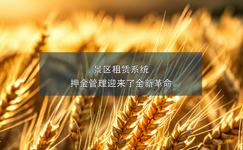 景區(qū)租賃系統(tǒng):押金管理迎來(lái)了全新革命