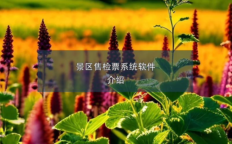 景區(qū)售檢票系統(tǒng)軟件介紹