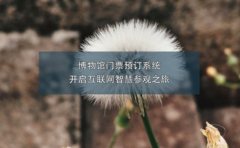 博物館門(mén)票預(yù)訂系統(tǒng)開(kāi)啟互聯(lián)網(wǎng)智慧參觀之旅