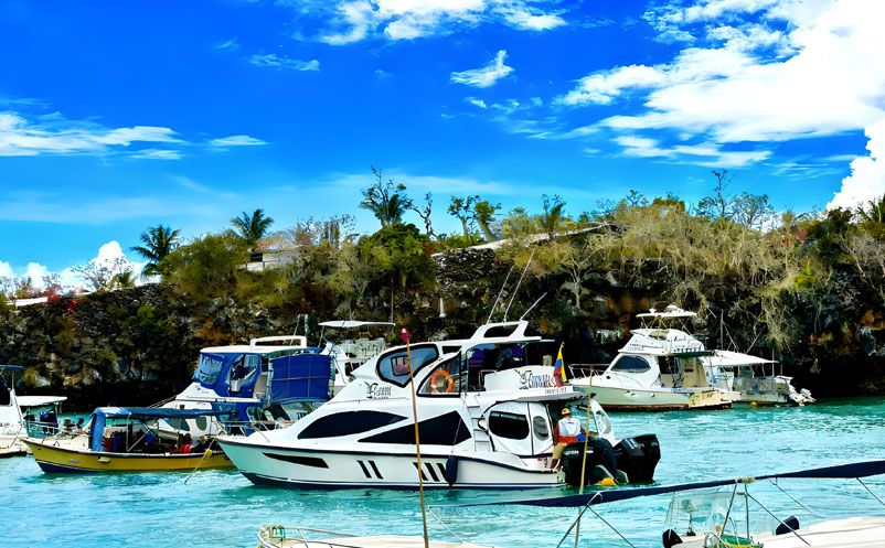 景區(qū)升級票務系統(tǒng)＝燒錢又復雜？