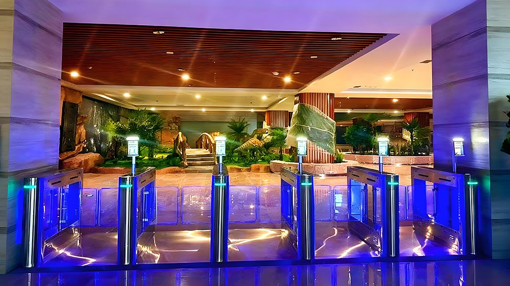 嘉蔭恐龍國家地質公園與易景通達成合作協(xié)議 嘉蔭恐龍國家地質公園與易景通達成合作協(xié)議