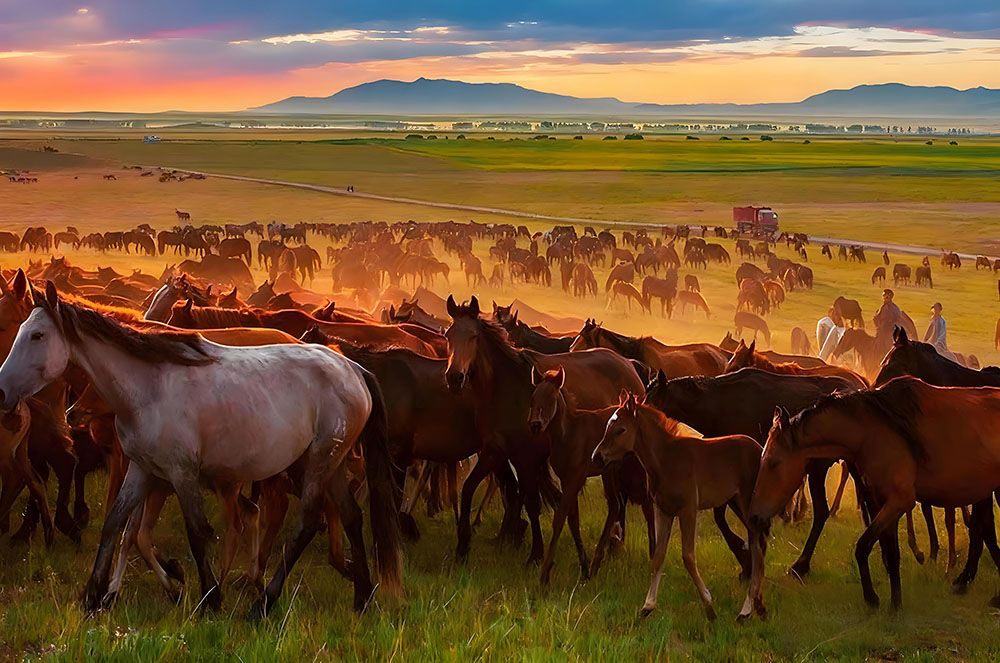 昭蘇天馬文化園和易景通景區(qū)票務(wù)系統(tǒng)達(dá)成合作協(xié)議 